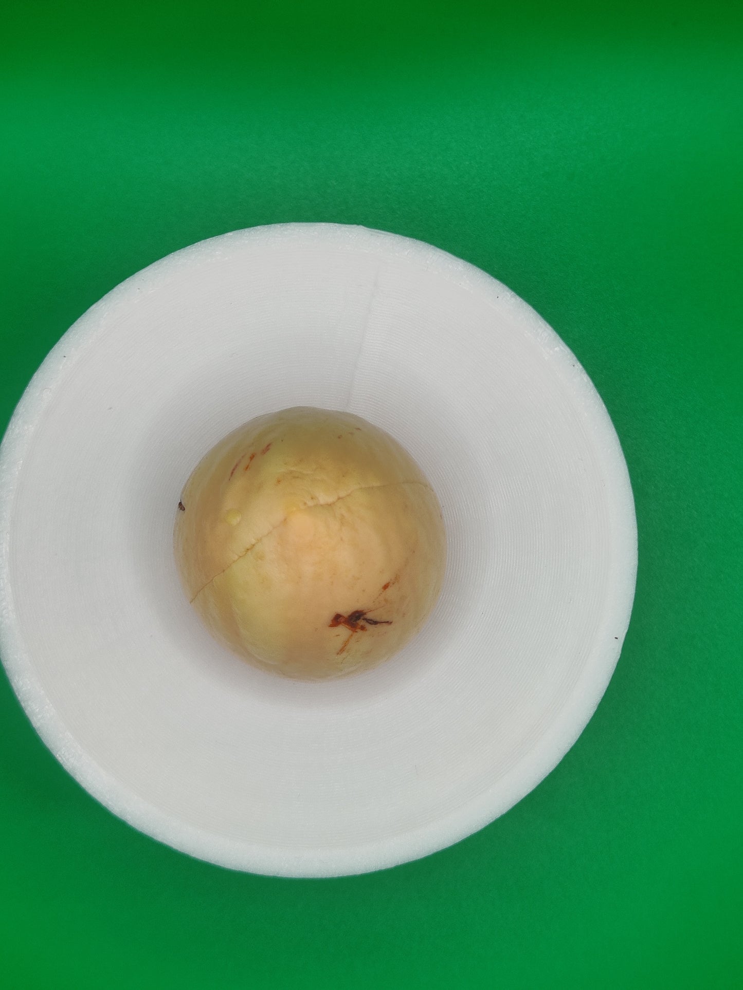 Germination Plate