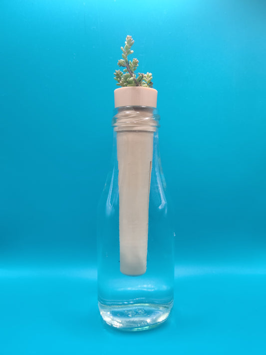 Bottle top planter