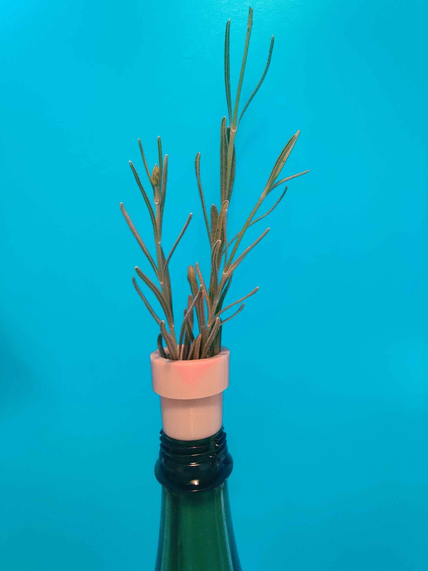 Bottle top planter